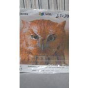 Канва «Рыжий филин» 21*27см