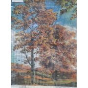 Канва «Орхидея» 24*32см