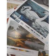 Схема для вышивания на листе формат А3 -  одна сторона цветная, вторая сторона символьная схемы