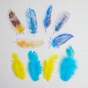 Перышки для творчества 3 натуральных и 5 бумажных