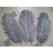 Перышки натуральные 10шт. в упаковке