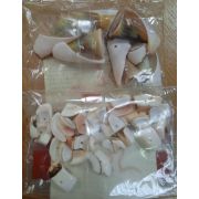 Ракушки декор