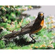 Набор для раскрашивания на холсте «Фрея» 40*50см