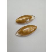 Пуговицы1129 - 34*15мм.бежевый